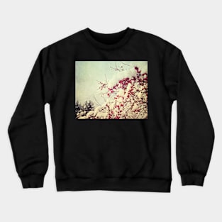 Snow Covered Crewneck Sweatshirt